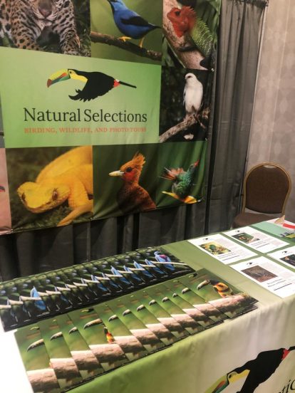 Natural Selections