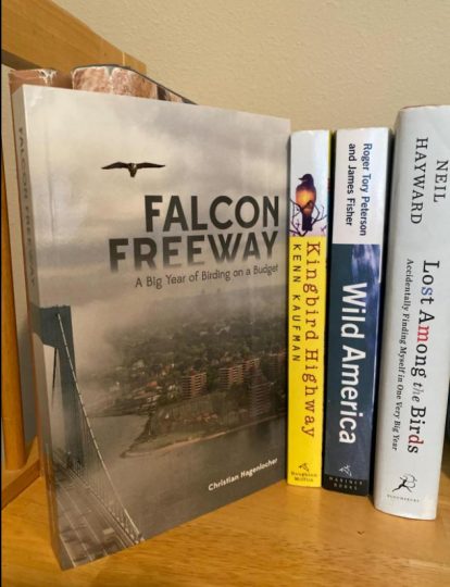 Falcon Freeway