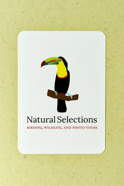Natural Selections Logo