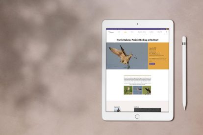 Sabrewing Tour Page