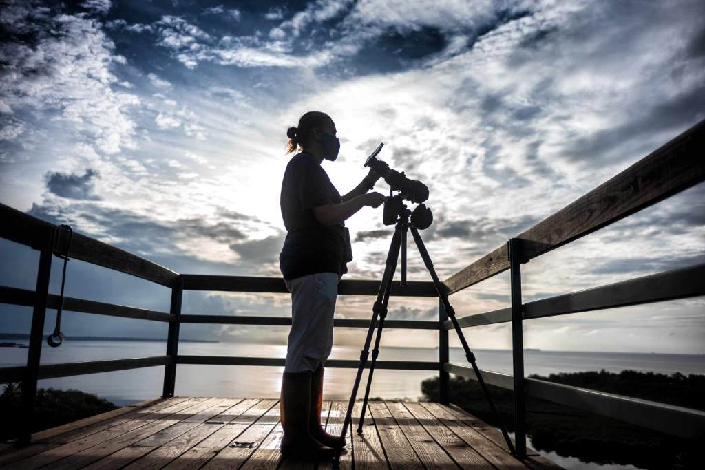 Woman birding on a tower in Panama